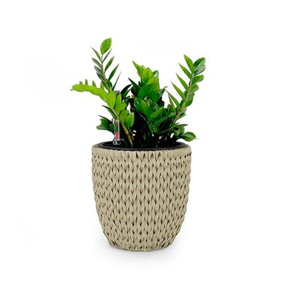 14.6" Self-watering Wicker Planter - Garden Decoration Pot - Beige - Round