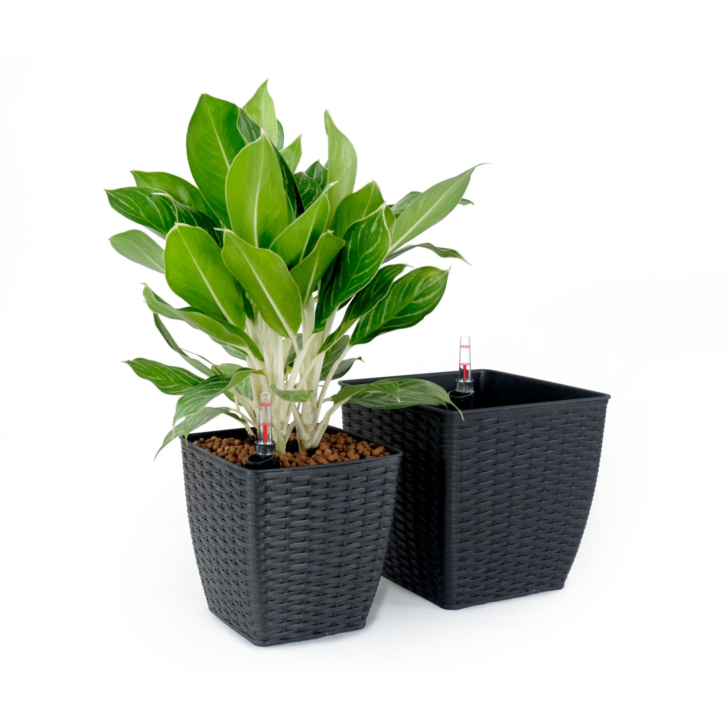 2-Pack Self-watering Planter - Hand Woven Wicker - Thin Square - Espresso