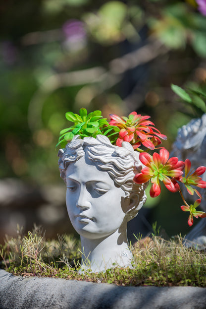 Greek Style Cement Head Planter - Indoor Outdoor Home Garden Decor