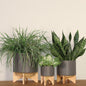 8" PLANTER W/ WOOD STAND, MATTE GRAY